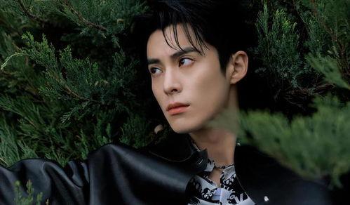 王鹤棣最新爆料,揭秘娱乐圈幕后真相