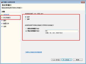 法国病毒爆料视频大全最新,真相与谣言的交织