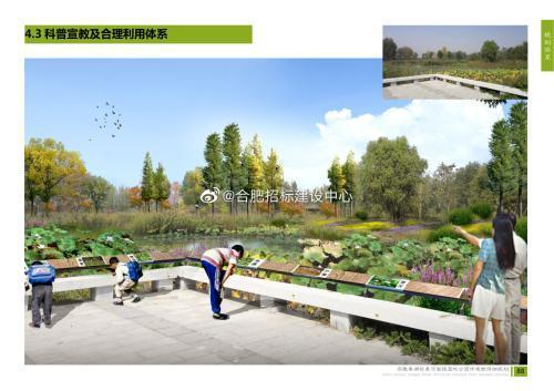 安徽公园爆料最新消息,揭秘神秘事件背后的真相