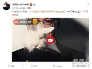 卓伟爆料模特视频大全最新,模特视频大全引发热议，真相揭秘！