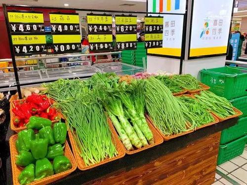 爆料江南买菜视频大全最新,揭秘明星日常生活中的温馨瞬间